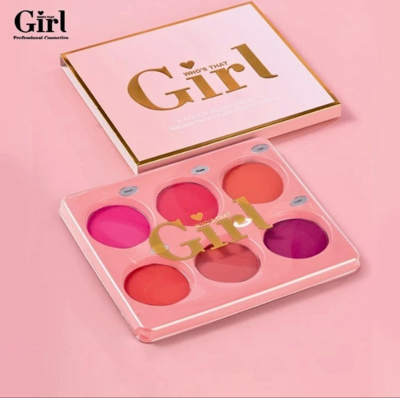 WHO’S THAT GIRL- BLUSH PALETTE