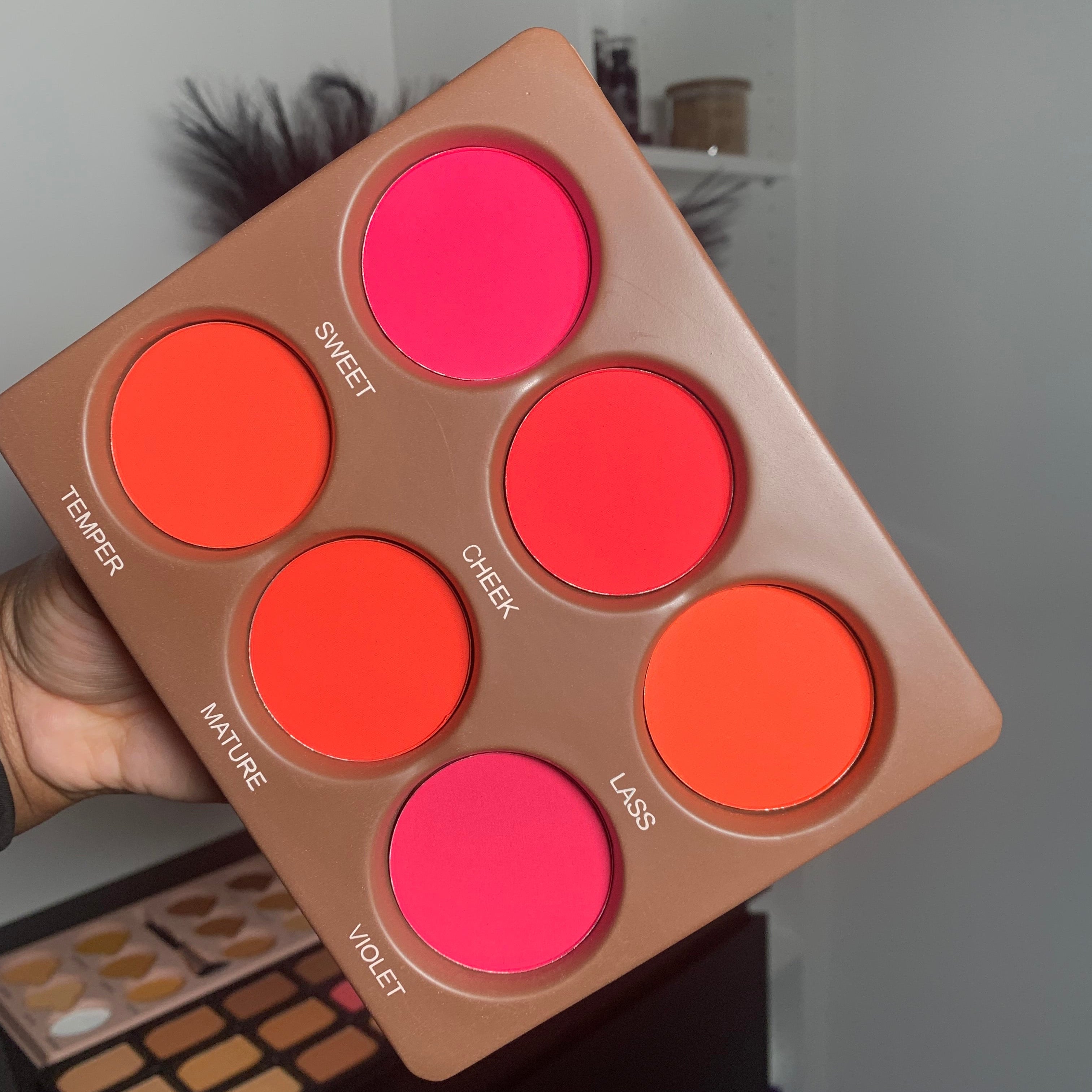 PALETTE DE BLUSH - 6 COULEURS